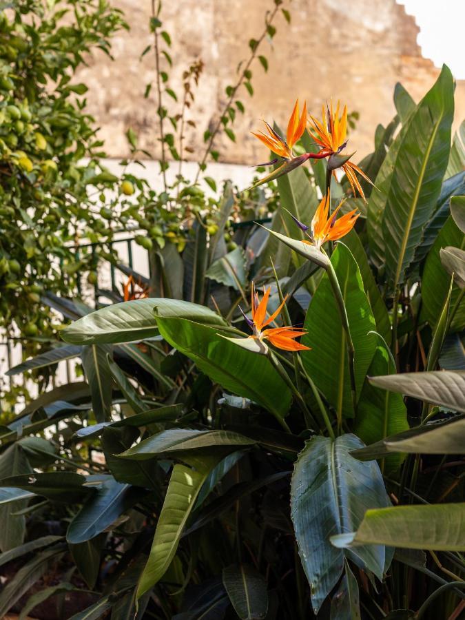 Hospedaria Sao Bras Bed and Breakfast São Brás de Alportel Εξωτερικό φωτογραφία
